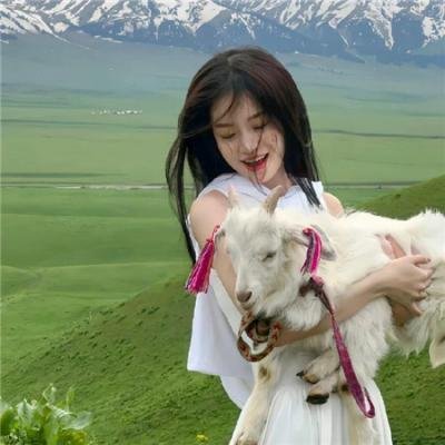 老鼠危机：塞纳河之乱